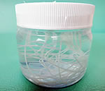 犬糸状虫(フィラリア)