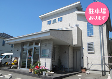 そのだ動物病院